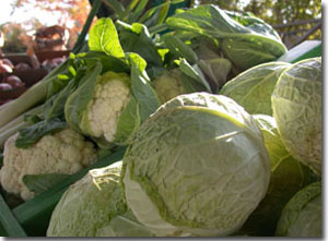 d trois pierres kiosque l�gumes