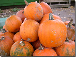 d trois pierres kiosque l�gumes