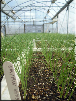 serre d trois pierres